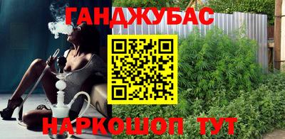 гашик Бийск
