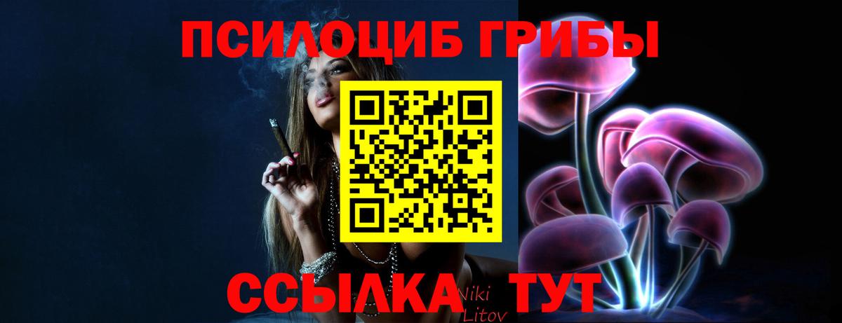Галлюциногенные грибы Psilocybe  Вход с VPN  Кирово-Чепецк  Псилоцибиновые грибы мухоморы 